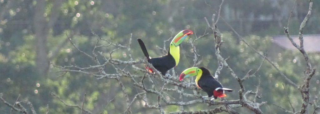 „Glück haben“ und „glücklich sein“. Das sind die 9 Unterschiede. Glück